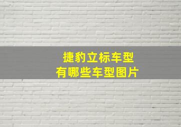 捷豹立标车型有哪些车型图片