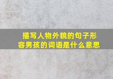 描写人物外貌的句子形容男孩的词语是什么意思