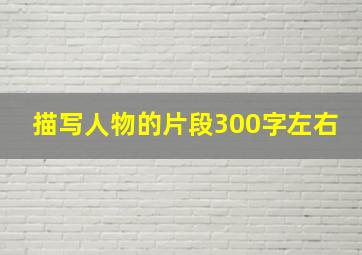 描写人物的片段300字左右