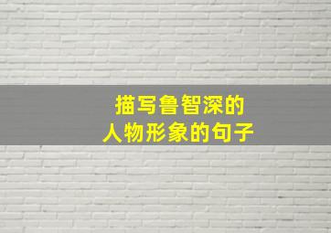 描写鲁智深的人物形象的句子