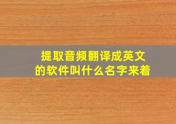 提取音频翻译成英文的软件叫什么名字来着