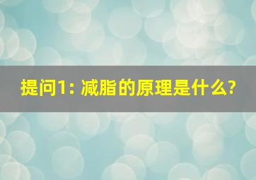 提问1: 减脂的原理是什么?