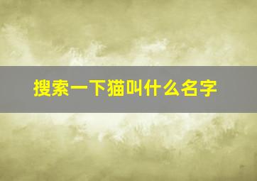 搜索一下猫叫什么名字