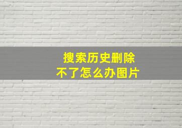 搜索历史删除不了怎么办图片