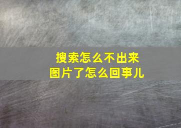 搜索怎么不出来图片了怎么回事儿