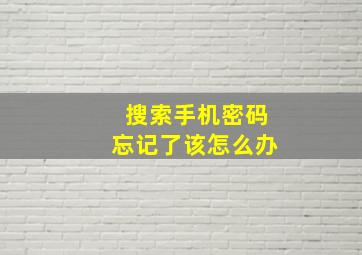 搜索手机密码忘记了该怎么办