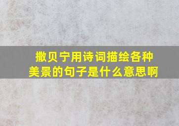 撒贝宁用诗词描绘各种美景的句子是什么意思啊