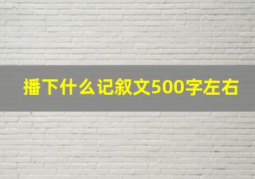 播下什么记叙文500字左右