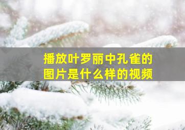 播放叶罗丽中孔雀的图片是什么样的视频