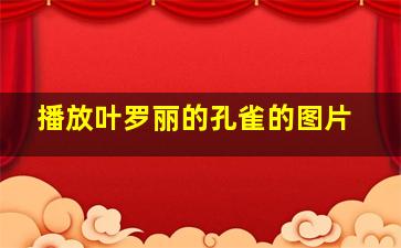 播放叶罗丽的孔雀的图片