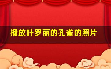 播放叶罗丽的孔雀的照片