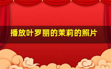 播放叶罗丽的茉莉的照片