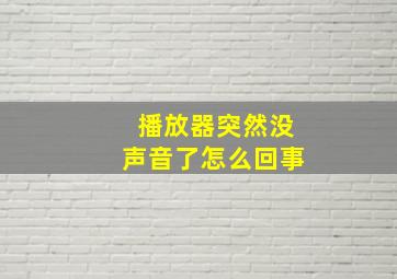 播放器突然没声音了怎么回事