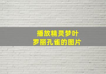 播放精灵梦叶罗丽孔雀的图片