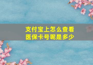 支付宝上怎么查看医保卡号呢是多少