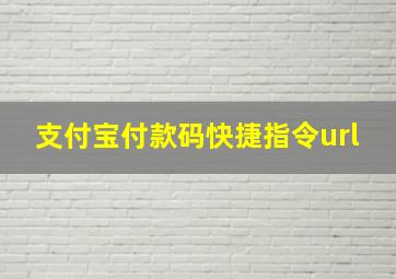 支付宝付款码快捷指令url