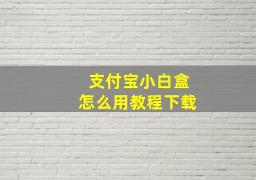 支付宝小白盒怎么用教程下载