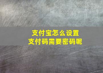 支付宝怎么设置支付码需要密码呢