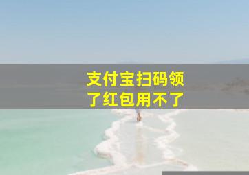 支付宝扫码领了红包用不了