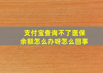 支付宝查询不了医保余额怎么办呀怎么回事