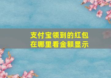 支付宝领到的红包在哪里看金额显示