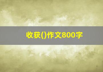 收获()作文800字