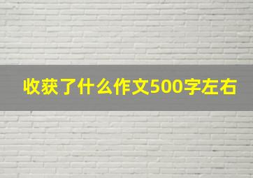 收获了什么作文500字左右