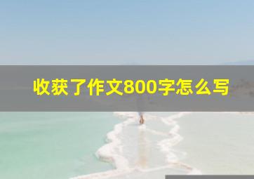 收获了作文800字怎么写