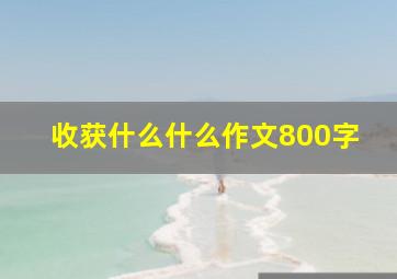 收获什么什么作文800字