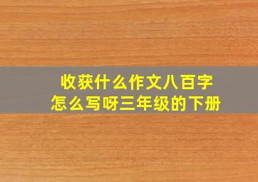 收获什么作文八百字怎么写呀三年级的下册