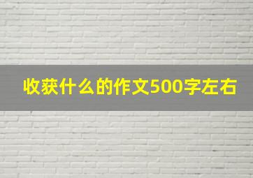 收获什么的作文500字左右