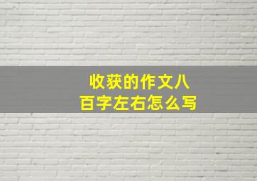 收获的作文八百字左右怎么写