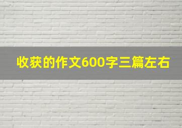 收获的作文600字三篇左右