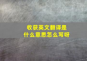 收获英文翻译是什么意思怎么写呀