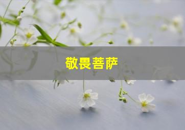 敬畏菩萨