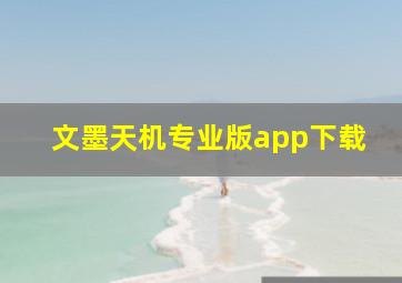 文墨天机专业版app下载