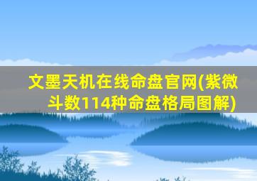 文墨天机在线命盘官网(紫微斗数114种命盘格局图解)