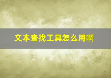 文本查找工具怎么用啊