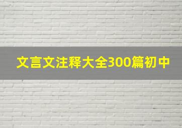 文言文注释大全300篇初中