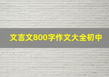 文言文800字作文大全初中