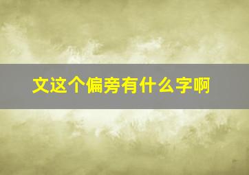 文这个偏旁有什么字啊