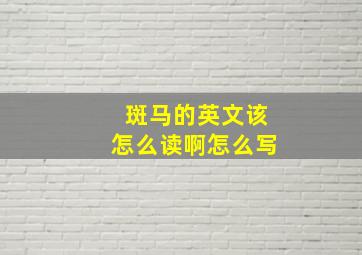 斑马的英文该怎么读啊怎么写