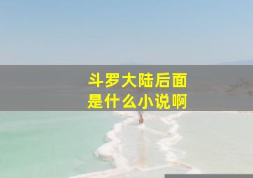 斗罗大陆后面是什么小说啊