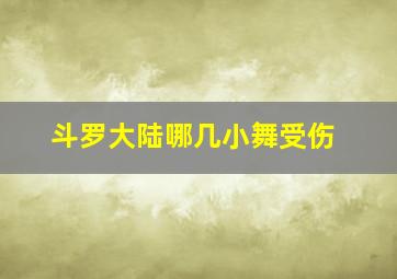 斗罗大陆哪几小舞受伤