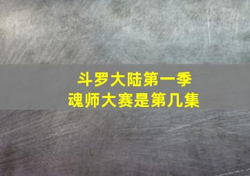 斗罗大陆第一季魂师大赛是第几集