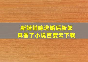 新婚错嫁逃婚后新郎真香了小说百度云下载