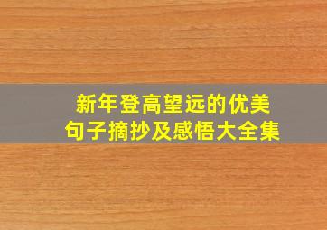 新年登高望远的优美句子摘抄及感悟大全集