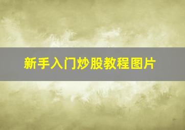 新手入门炒股教程图片