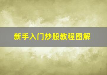 新手入门炒股教程图解