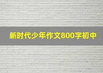 新时代少年作文800字初中